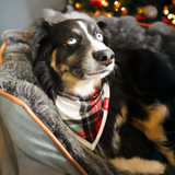 Dog Bib Tartan Dreams Pet Bandana