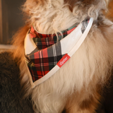 Dog Bib Tartan Dreams Pet Bandana