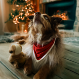Hundhaklapp Röd Heritage Bandana för husdjur