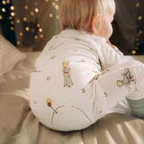 ZIPSTER™ Little Prince Asteroid B-612