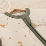 ZIPSTER™ Little Prince Asteroid B-612