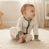 ZIPSTER™ Little Prince Asteroid B-612