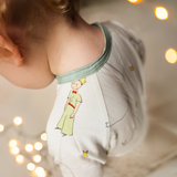 ZIPSTER™ Little Prince Asteroid B-612