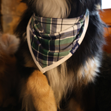 Hund Bib Grön Tartan Bandana för husdjur